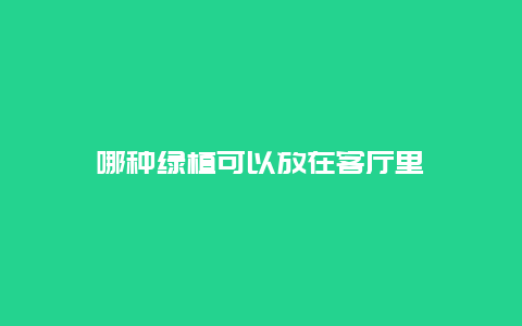 哪种绿植可以放在客厅里