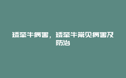 矮牵牛病害，矮牵牛常见病害及防治