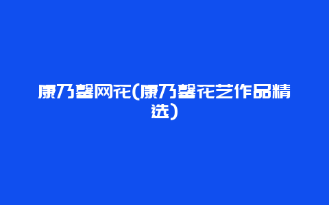 康乃馨网花(康乃馨花艺作品精选)