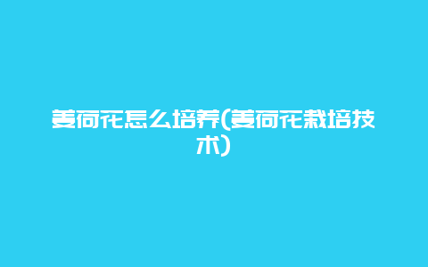 姜荷花怎么培养(姜荷花栽培技术)