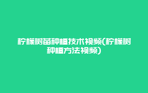 柠檬树苗种植技术视频(柠檬树种植方法视频)