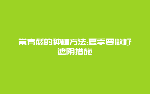 常青藤的种植方法:夏季要做好遮阴措施