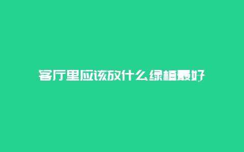 客厅里应该放什么绿植最好