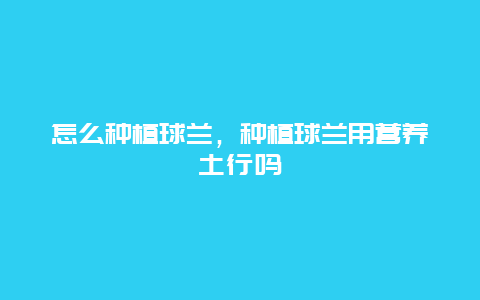 怎么种植球兰，种植球兰用营养土行吗