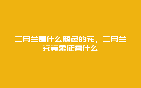 二月兰是什么颜色的花，二月兰究竟象征着什么