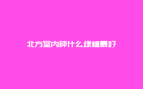 北方室内种什么绿植最好