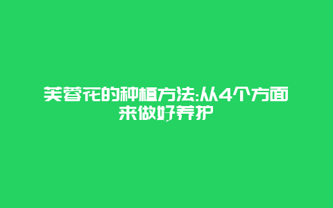 芙蓉花的种植方法:从4个方面来做好养护