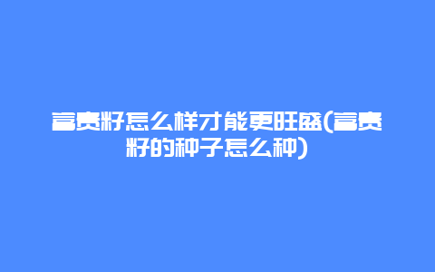 富贵籽怎么样才能更旺盛(富贵籽的种子怎么种)