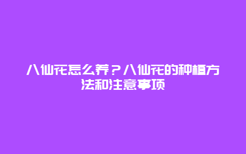 八仙花怎么养？八仙花的种植方法和注意事项