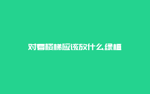 对着楼梯应该放什么绿植