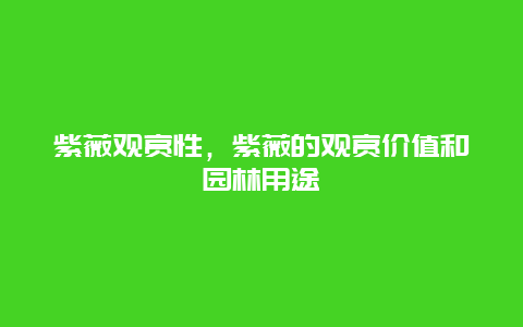 紫薇观赏性，紫薇的观赏价值和园林用途