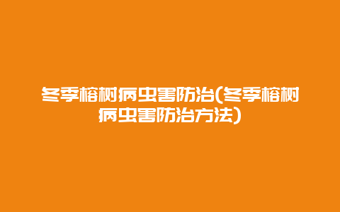 冬季榕树病虫害防治(冬季榕树病虫害防治方法)