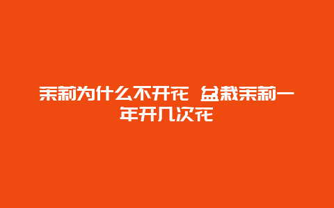 茉莉为什么不开花 盆栽茉莉一年开几次花