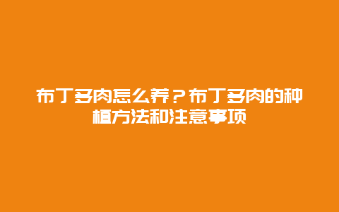 布丁多肉怎么养？布丁多肉的种植方法和注意事项