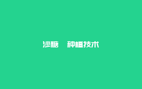 沙糖桔种植技术