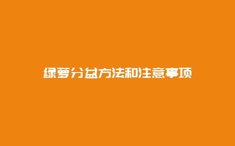 绿萝分盆方法和注意事项