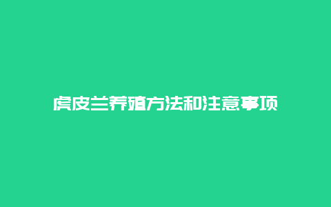 虎皮兰养殖方法和注意事项