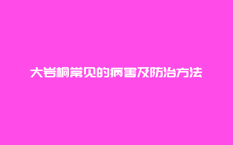 大岩桐常见的病害及防治方法