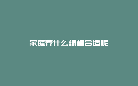 家庭养什么绿植合适呢