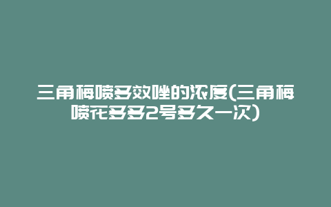 三角梅喷多效唑的浓度(三角梅喷花多多2号多久一次)