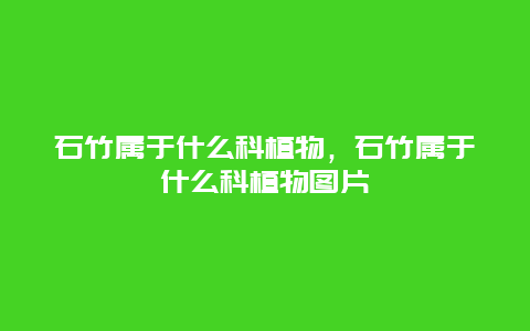 石竹属于什么科植物，石竹属于什么科植物图片