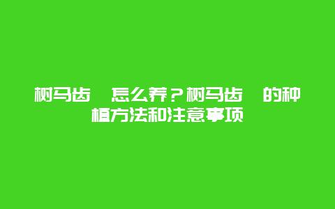 树马齿苋怎么养？树马齿苋的种植方法和注意事项