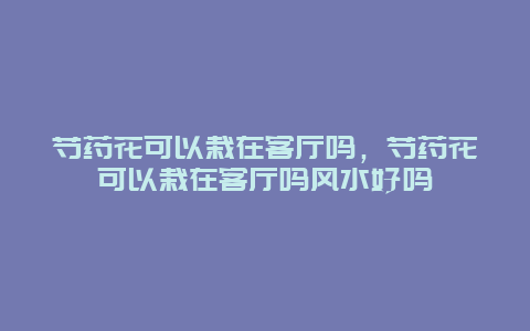 芍药花可以栽在客厅吗，芍药花可以栽在客厅吗风水好吗