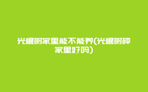 光棍树家里能不能养(光棍树种家里好吗)