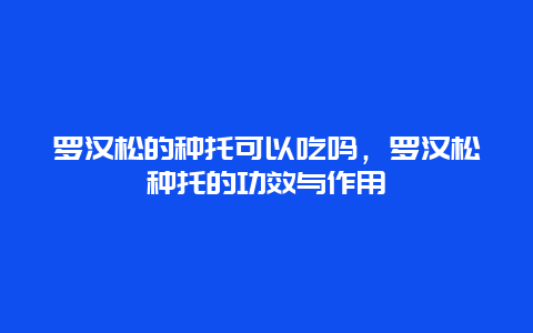 罗汉松的种托可以吃吗，罗汉松种托的功效与作用