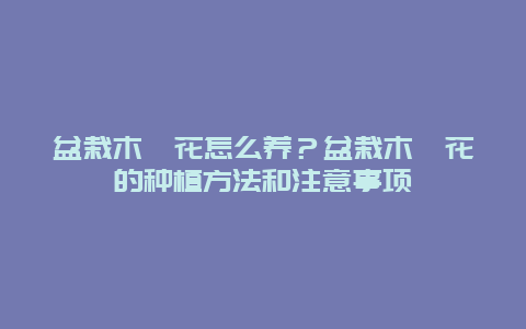 盆栽木槿花怎么养？盆栽木槿花的种植方法和注意事项