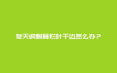 冬天虎刺梅烂叶干边怎么办？