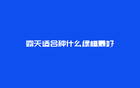 露天适合种什么绿植最好