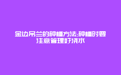 金边吊兰的种植方法:种植时要注意管理好浇水