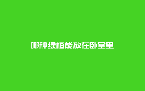 哪种绿植能放在卧室里