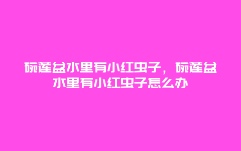 碗莲盆水里有小红虫子，碗莲盆水里有小红虫子怎么办