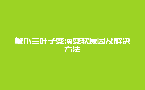 蟹爪兰叶子变薄变软原因及解决方法