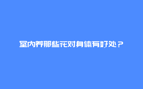 室内养那些花对身体有好处？