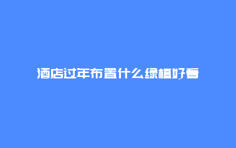 酒店过年布置什么绿植好看