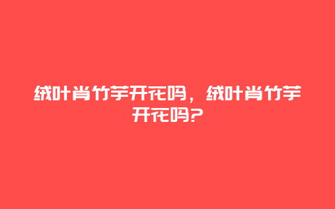 绒叶肖竹芋开花吗，绒叶肖竹芋开花吗?