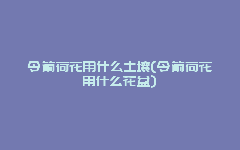 令箭荷花用什么土壤(令箭荷花用什么花盆)