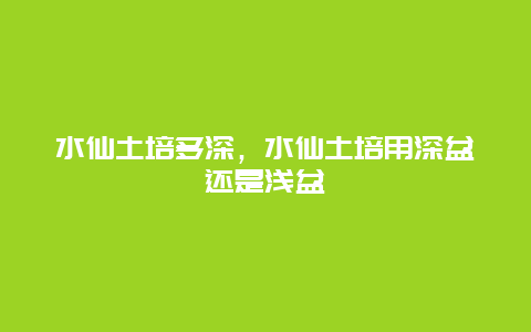 水仙土培多深，水仙土培用深盆还是浅盆