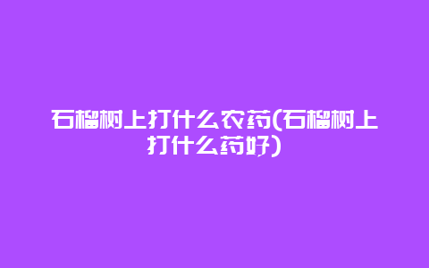 石榴树上打什么农药(石榴树上打什么药好)