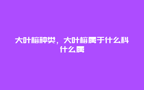 大叶榕种类，大叶榕属于什么科什么属