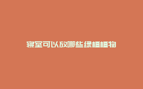 寝室可以放哪些绿植植物