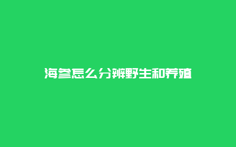 海参怎么分辨野生和养殖