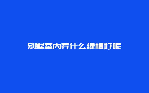 别墅室内养什么绿植好呢