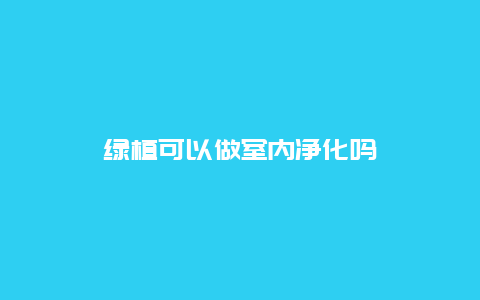 绿植可以做室内净化吗