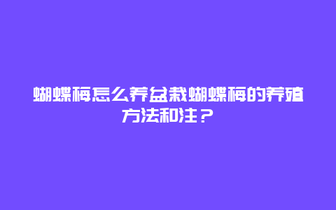 蝴蝶梅怎么养盆栽蝴蝶梅的养殖方法和注？