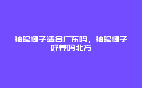 袖珍椰子适合广东吗，袖珍椰子好养吗北方