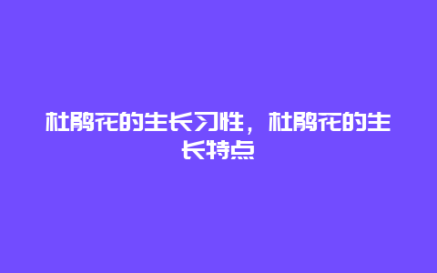 杜鹃花的生长习性，杜鹃花的生长特点